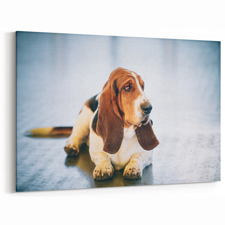Elegant Basset Hound Wall Art - Basset Hound Print for Sophisticated Decor