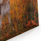 Beagle Wall Art - Stunning Beagle Canvas Art with Sunset - Beagle Decor