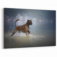 Majestic Boxer Wall Art - Stunning Boxer Print - Graceful Dog Canvas Decor