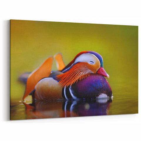 Serene Duck Wall Art - Peaceful Duck Canvas Print for Calm Decor