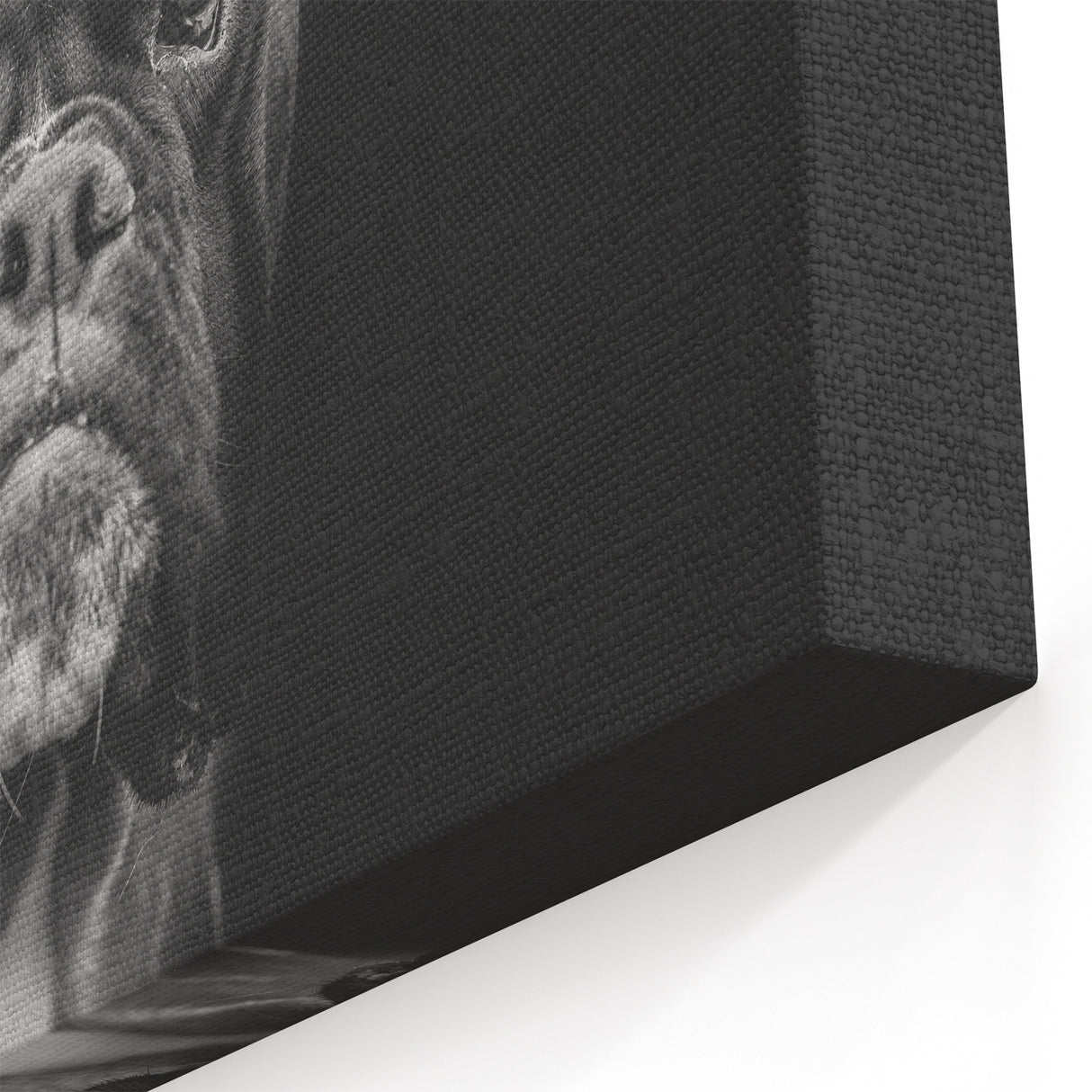Dramatic Boxer Wall Art - Bold Boxer Print - Striking Dog Canvas Decor