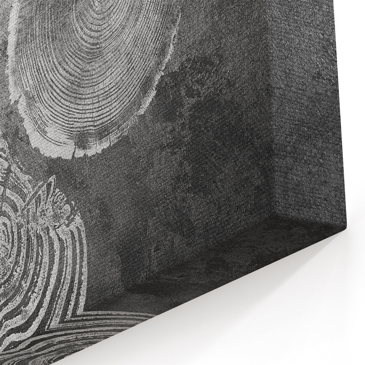 Golden and Silver Tree Rings Abstract Art - Modern Minimalist Canvas
