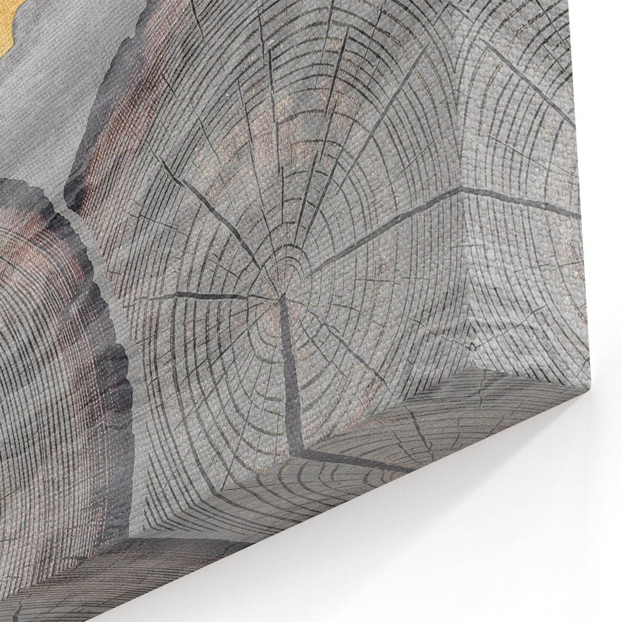 Gold Vein Line Art - Abstract Tree Rings on Grey Canvas