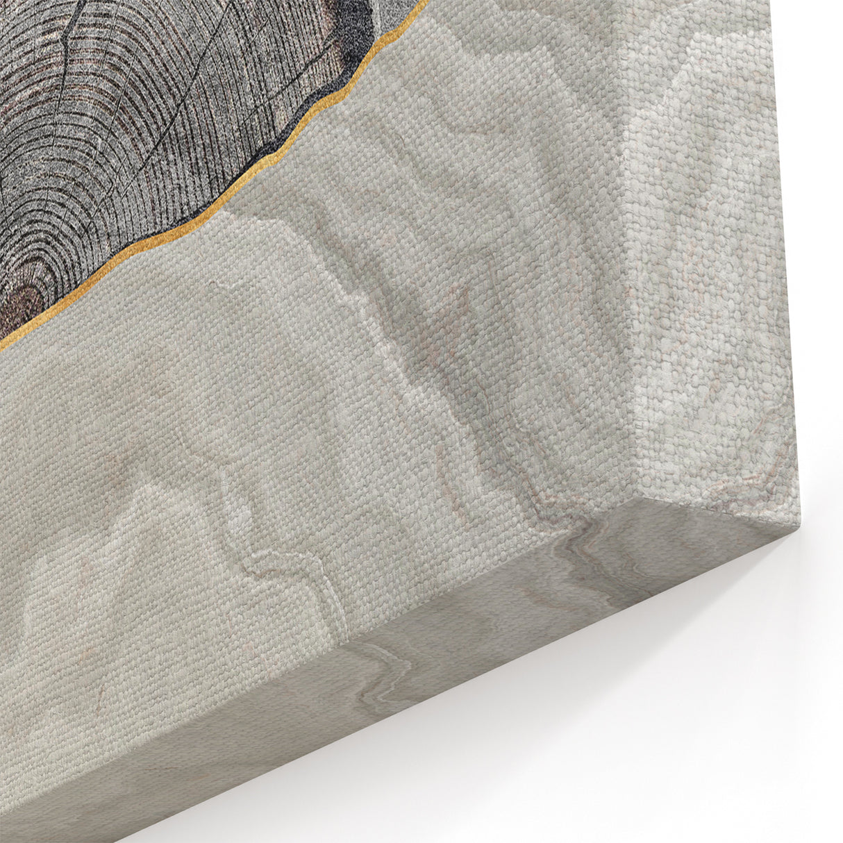 Abstract Line Art - Tree Rings and Gold Wave on Grey Canvas