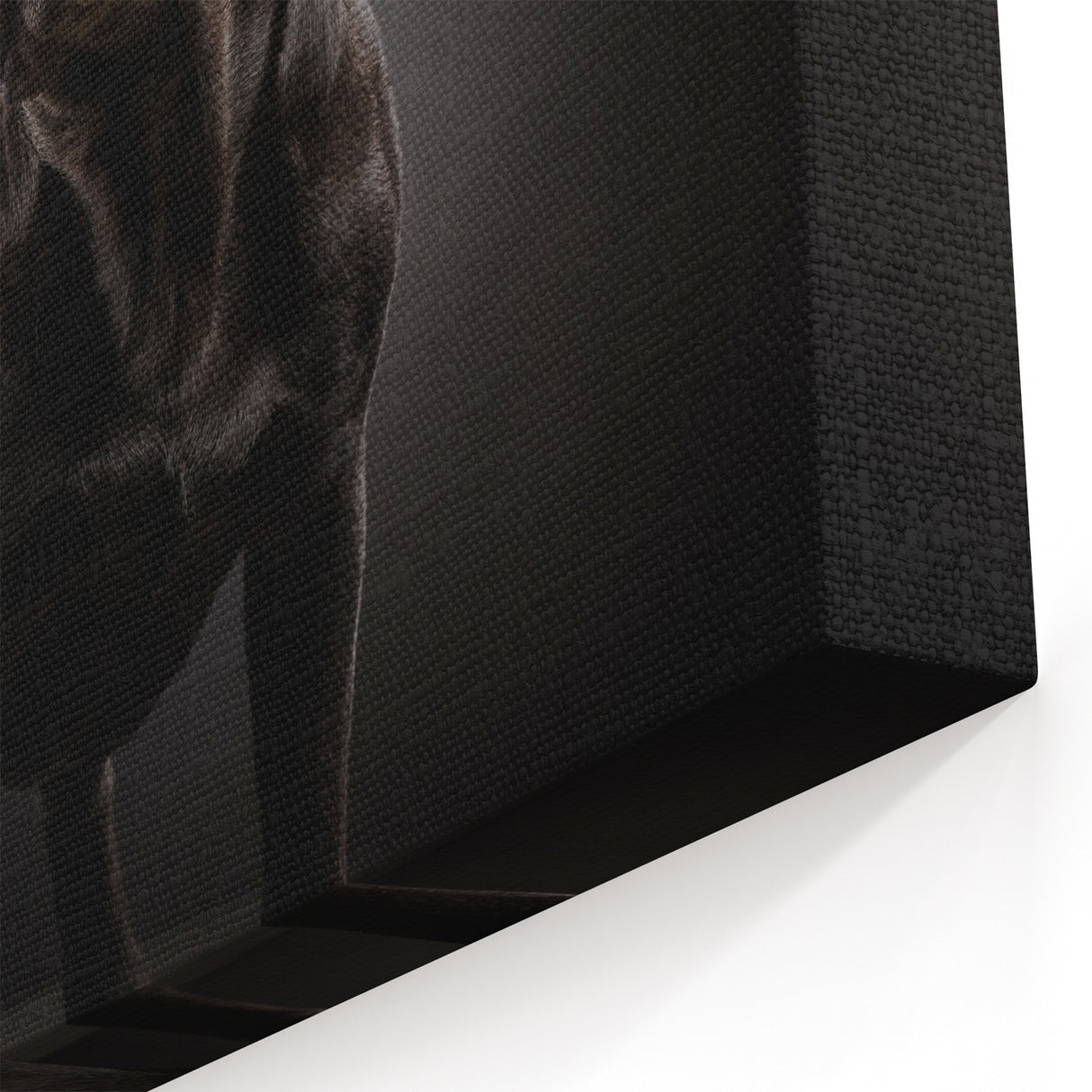 Abstract Floral Bulldog Wall Art - Modern Botanical Canvas Decor