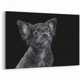 Cute Bulldog Puppy Art - Black and White Modern Canvas Decor