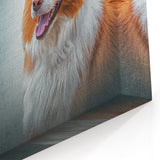 Collie Wall Art - Vibrant Collie Canvas Print - Beautiful Collie Decor