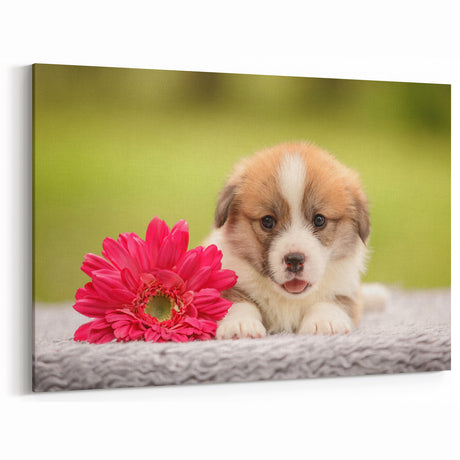 Adorable Corgi Wall Art - Corgi Canvas Print - Cute Corgi Decor