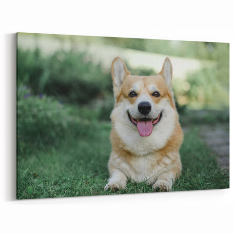 Smiling Corgi Wall Art - Corgi Canvas Print - Cheerful Corgi Decor