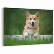 Happy Corgi Wall Art - Corgi Canvas Print - Charming Corgi Decor