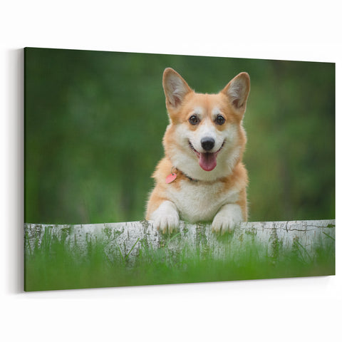 Happy Corgi Wall Art - Corgi Canvas Print - Charming Corgi Decor