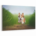 Energetic Corgi Wall Art - Corgi Canvas Print - Playful Corgi Decor