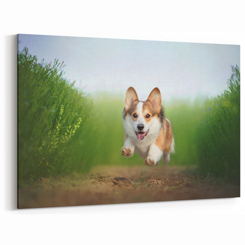 Energetic Corgi Wall Art - Corgi Canvas Print - Playful Corgi Decor