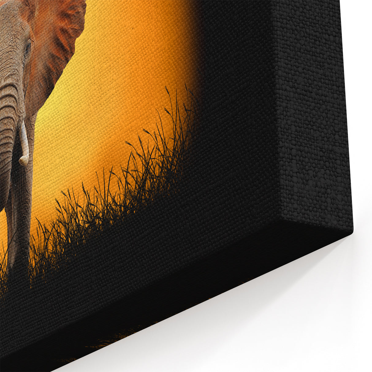 Majestic Elephant Wall Art - Safari Animal Canvas Print & Framed Decor