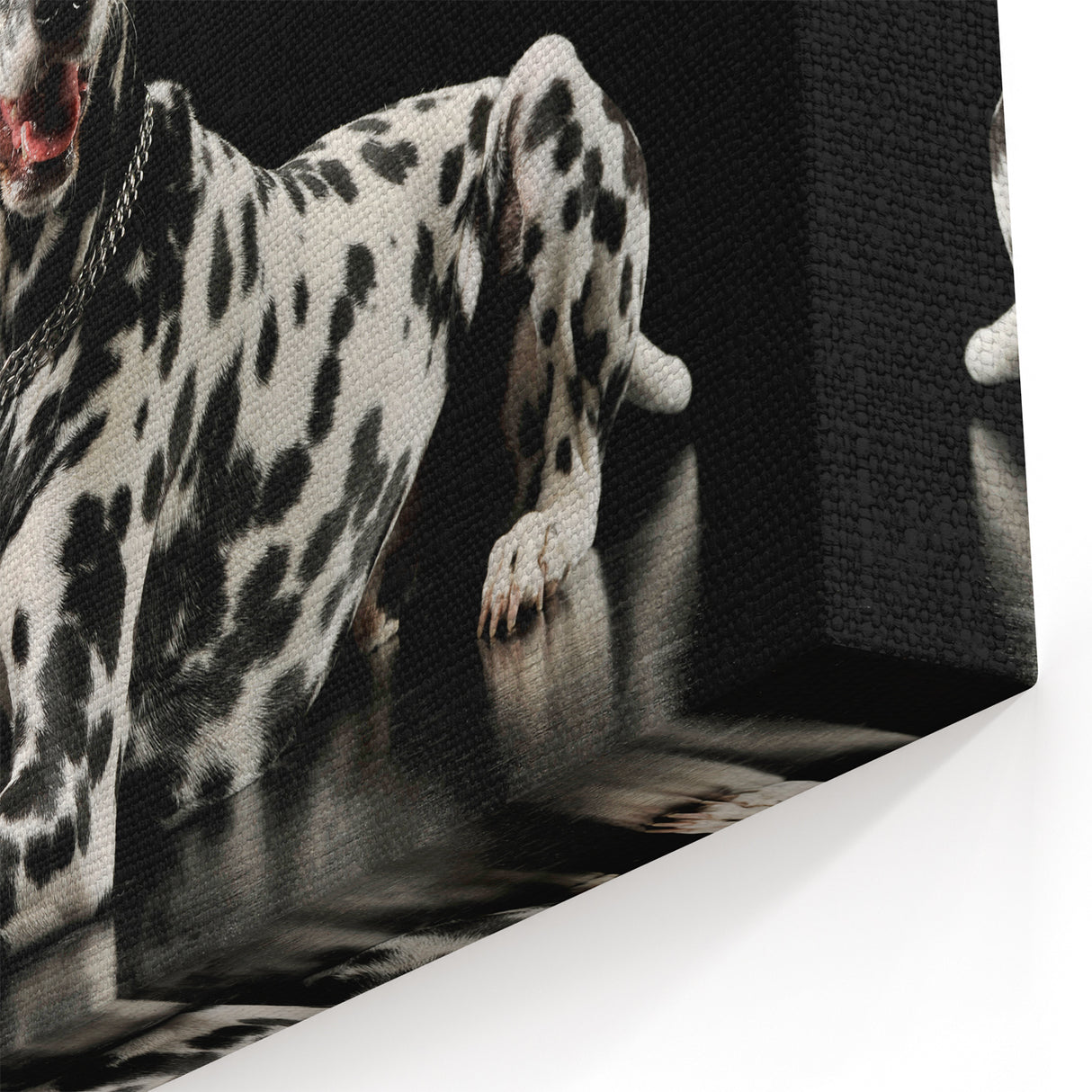 Dalmatian Wall Art - Dalmatian Canvas Print - Elegant Dalmatian Decor