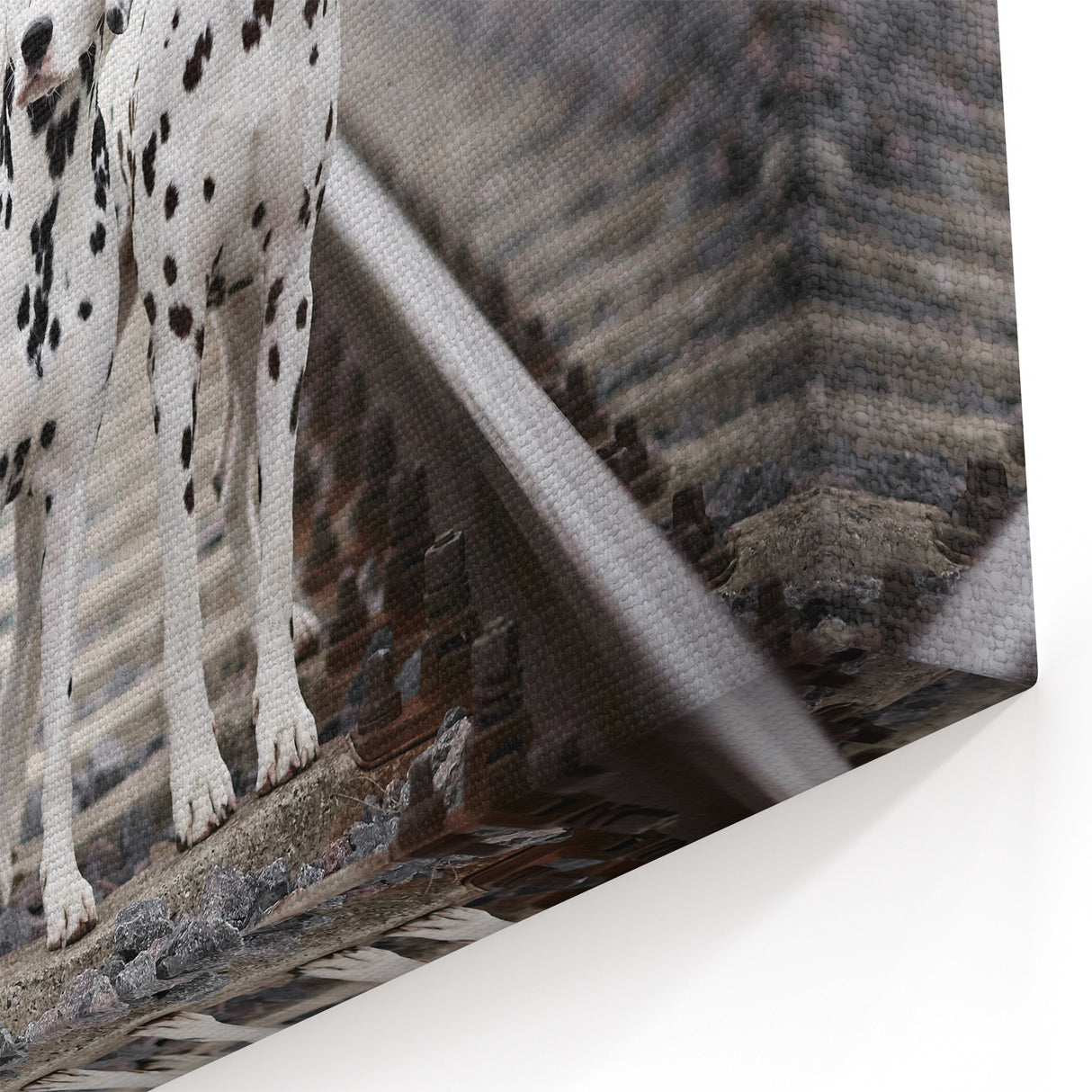 Dalmatian Canvas Print - Elegant Dalmatian Art for Modern Home Decor