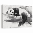 Panda Bear Art - Panda Canvas Prints - Resting Giant Panda Illustration