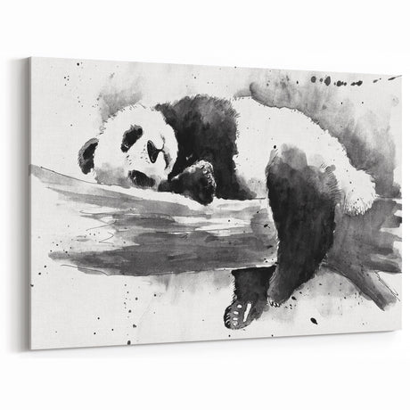 Panda Bear Art - Panda Canvas Prints - Resting Giant Panda Illustration