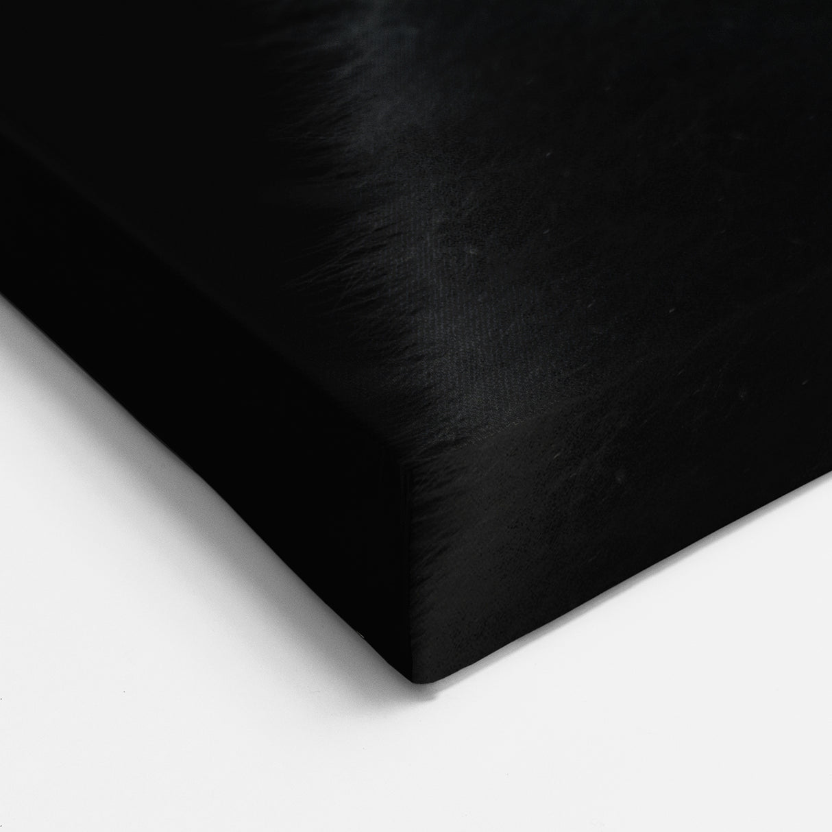 Panda Photography - Giant Panda Wall Art - Black and White Panda Art