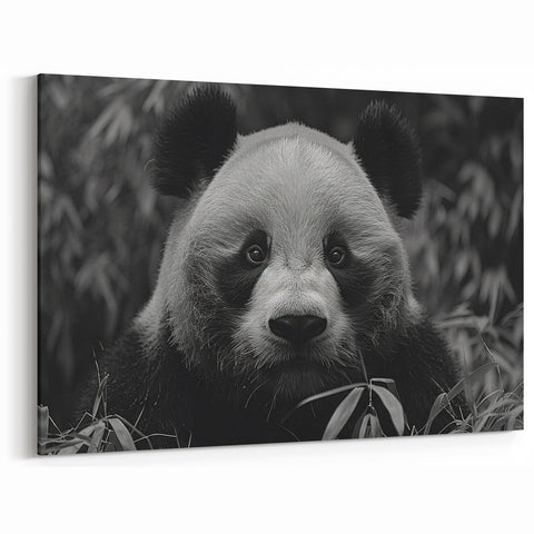 Serene Black and White Panda Canvas Print - Panda Photography