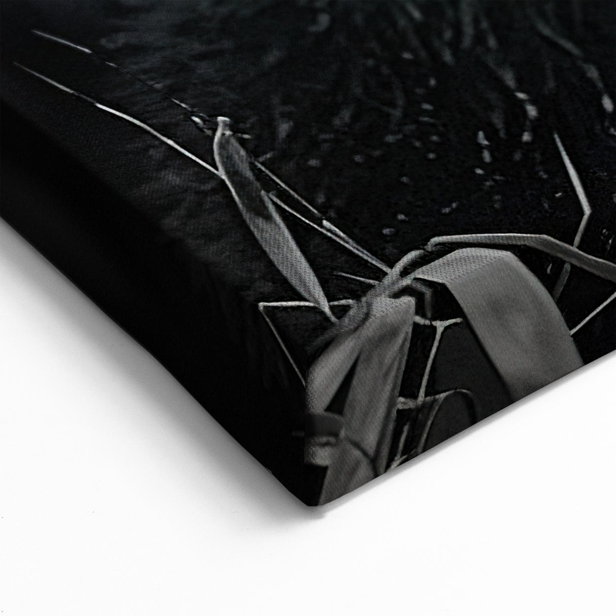 Serene Black and White Panda Canvas Print - Panda Photography
