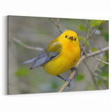 Vibrant Garden Birds Wall Art - Yellow Songbird Canvas Print Decor