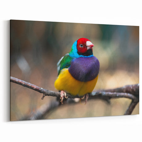Vibrant Garden Birds Wall Art - Colorful Finch Canvas Print Decor