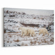 Majestic Polar Bear Trio - Wildlife Arctic Animal Canvas Art
