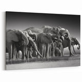 Elephant Herd at Watering Hole - Timeless Black and White Canvas Art