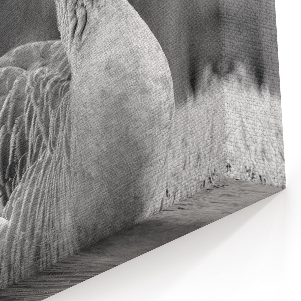 Serene Goose Resting Canvas Art - Peaceful Goose Wall Decor