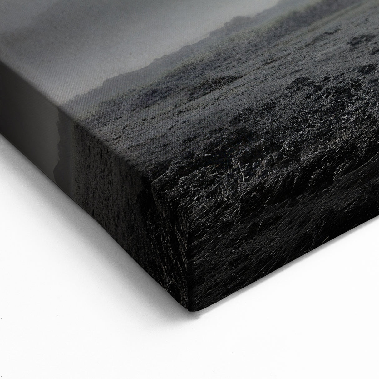Powerful Elephant in the Storm - Dramatic Black and White Canvas Art