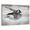 Graceful Goose Preening Canvas Art - Elegant Goose Wall Decor