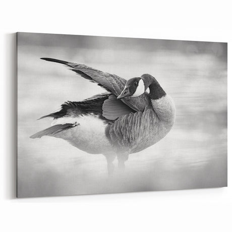 Graceful Goose Preening Canvas Art - Elegant Goose Wall Decor