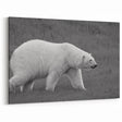 Polar Bear on Grass - Wildlife Arctic Animal Canvas Art