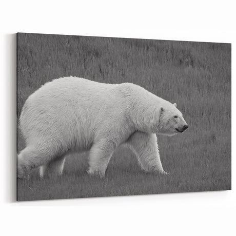 Polar Bear on Grass - Wildlife Arctic Animal Canvas Art