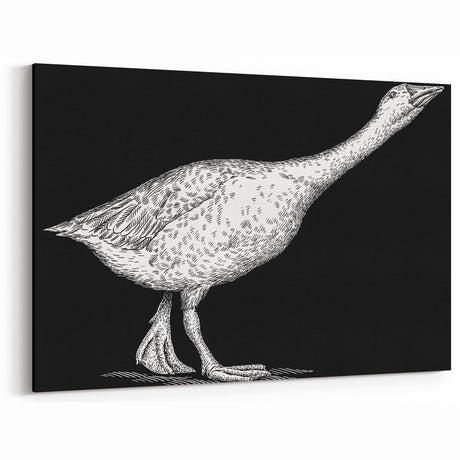 Vintage Goose Illustration Canvas Art - Classic Goose Wall Decor