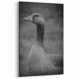 Majestic Goose Portrait Canvas Art - Elegant Goose Wall Decor