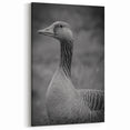 Majestic Goose Portrait Canvas Art - Elegant Goose Wall Decor