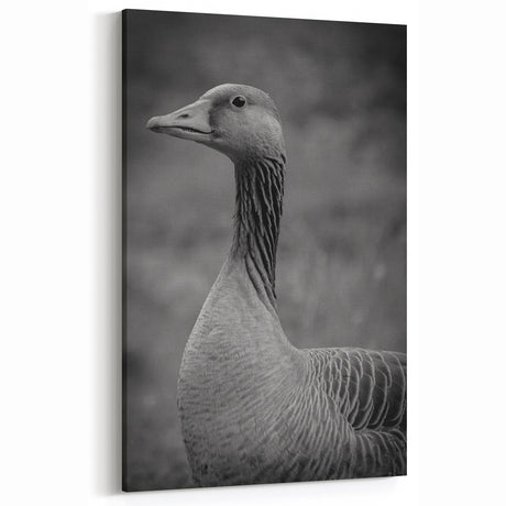 Majestic Goose Portrait Canvas Art - Elegant Goose Wall Decor