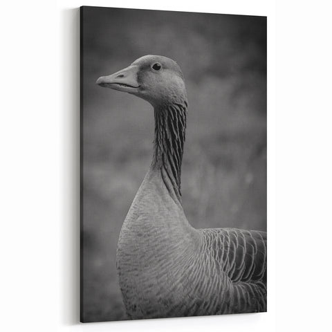 Majestic Goose Portrait Canvas Art - Elegant Goose Wall Decor