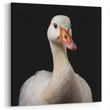 Striking White Goose Portrait Canvas Art - Elegant Goose Wall Decor