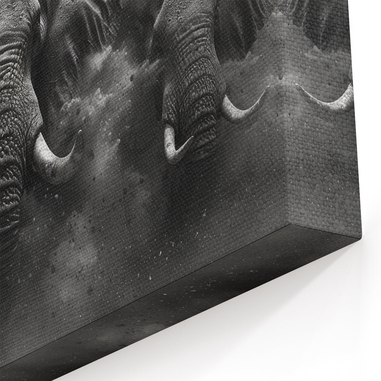 Thunderous Elephant Charge - Dramatic Black and White Canvas Art