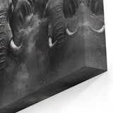 Thunderous Elephant Charge - Dramatic Black and White Canvas Art