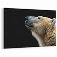 Stunning Polar Bear Art - Wildlife Arctic Animal Prints for Home Decor