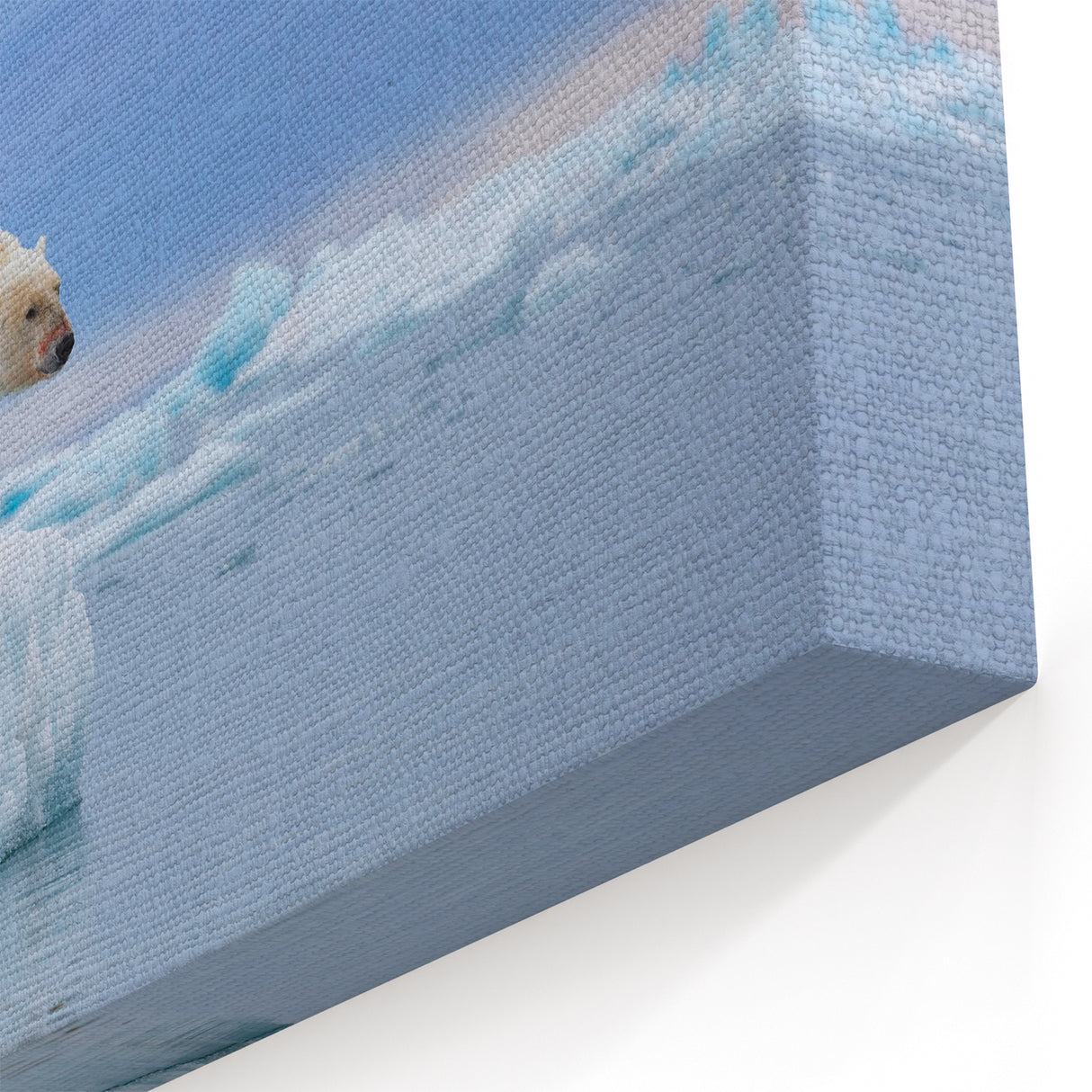 Majestic Polar Bear Art - Wildlife Arctic Animal Prints for Wall Decor