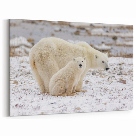 Adorable Polar Bear Family Art - Wildlife Arctic Animal Prints Decor