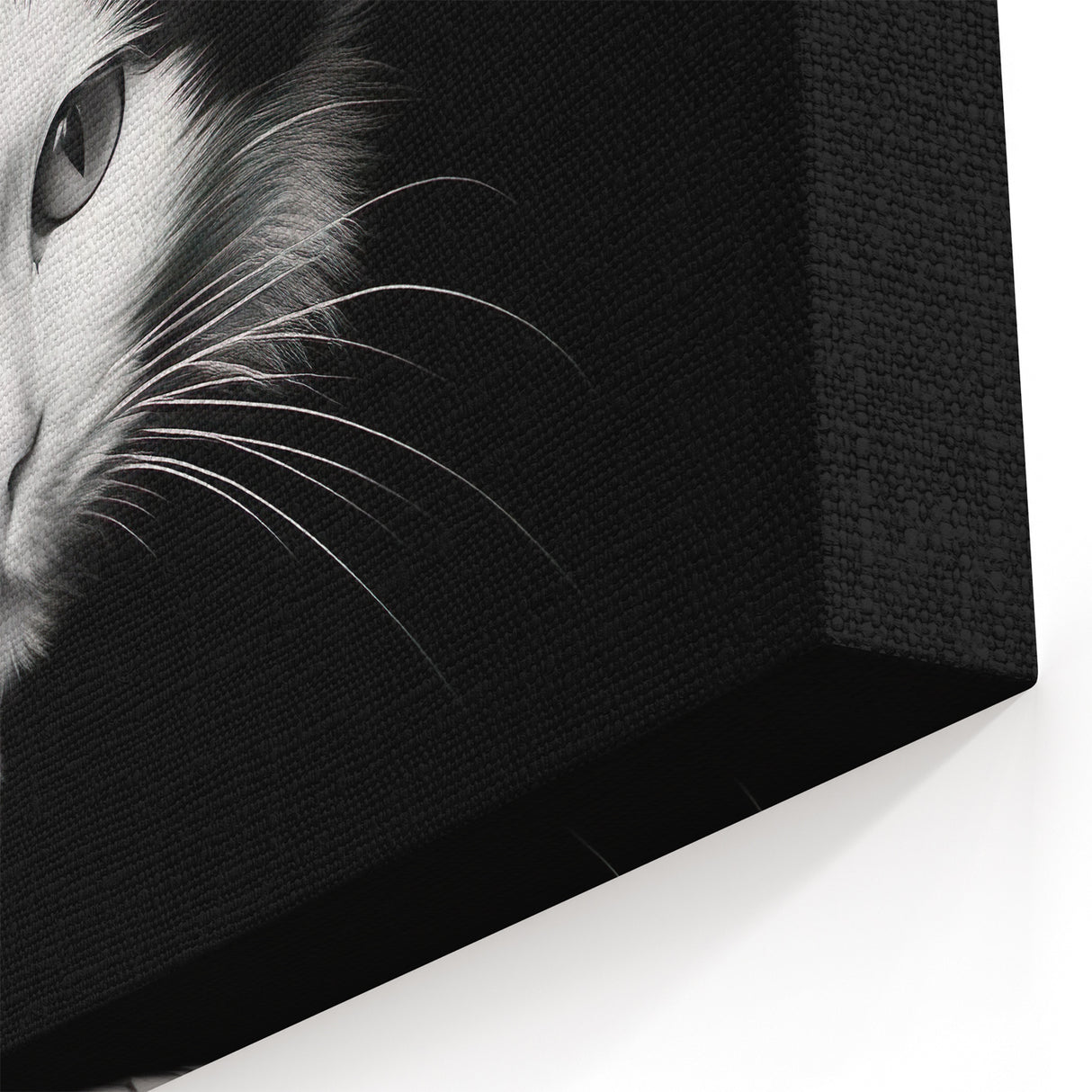 Striking Cat Wall Art - Monochrome Cat Decor, Canvas & Framed Prints