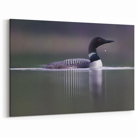 Loon Canvas Art - Majestic Loon on Water Wall Decor for Home