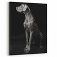 Majestic Great Dane Dog Wall Decor - Dog Art Prints & Gifts
