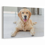 Golden Retriever Dog Wall Decor - Cute Dog Pictures & Canvas Art